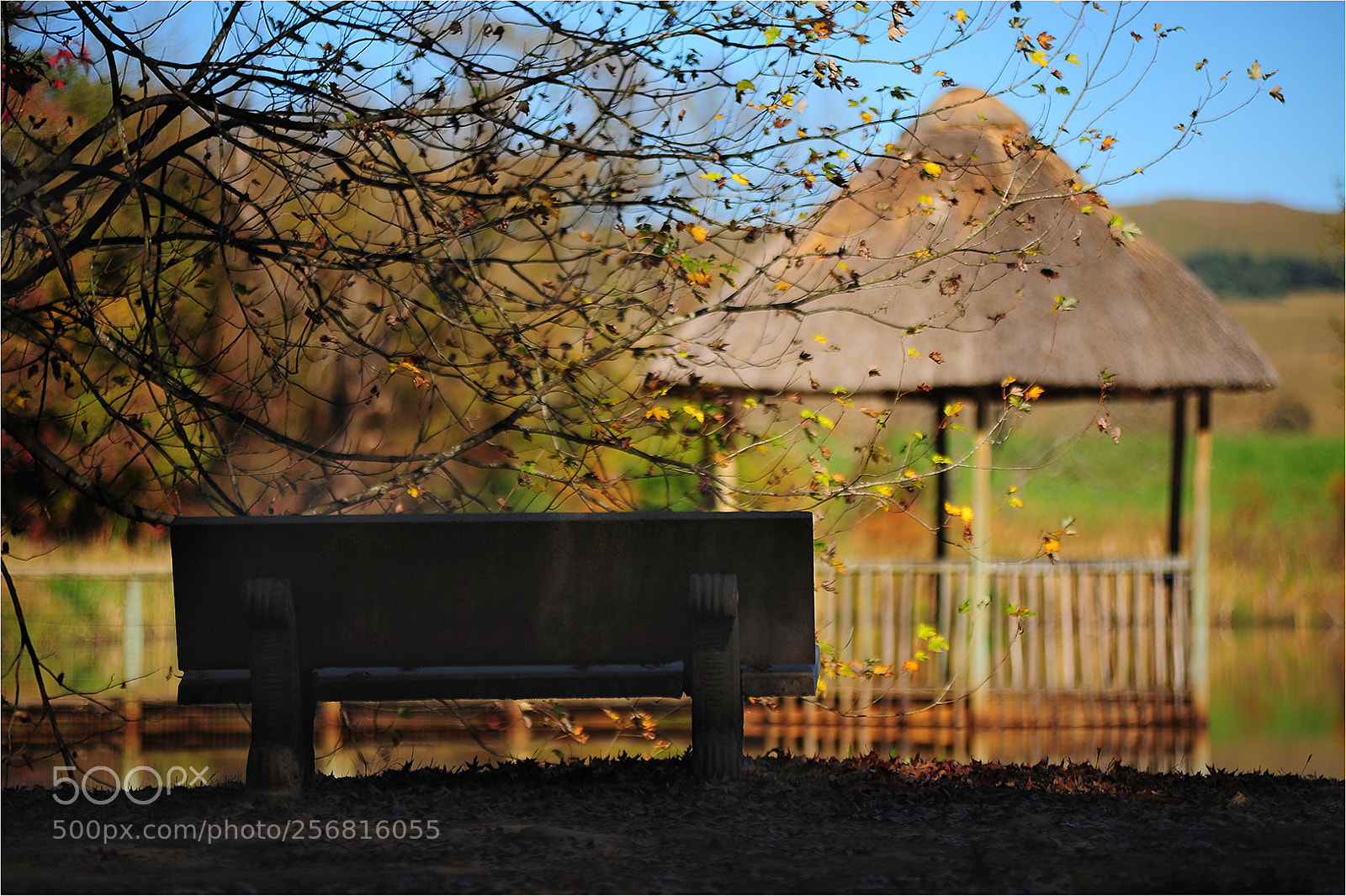 Nikon D700 sample photo. Overshadowed bench photography