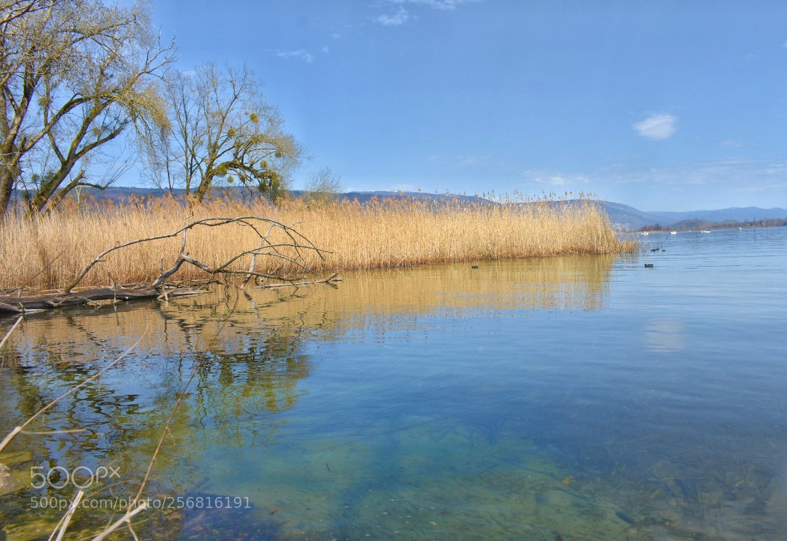 Nikon D7200 sample photo. Nature by its own photography