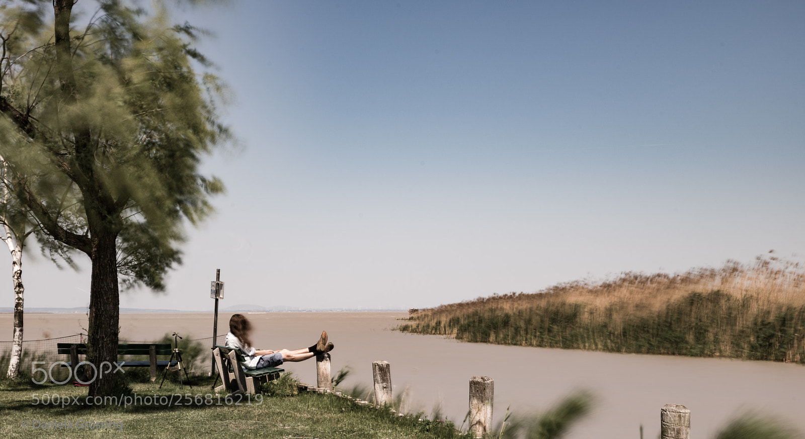 Nikon D610 sample photo. Sunday at the lake photography