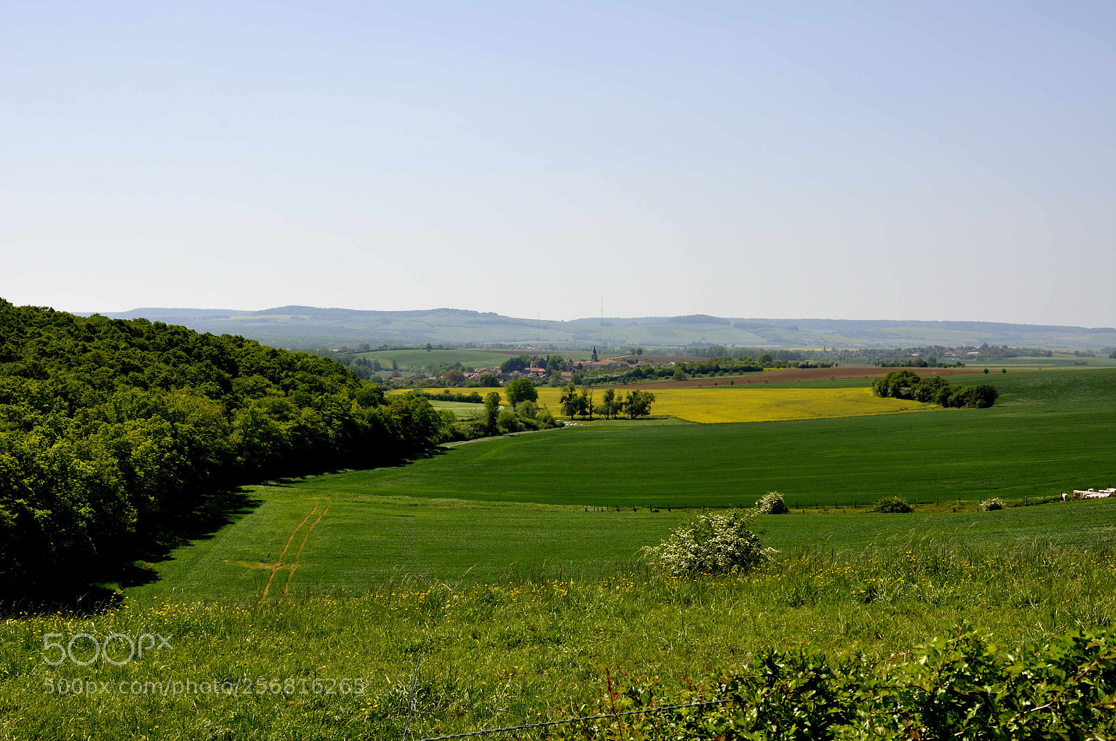 Nikon D90 sample photo. Printemps photography