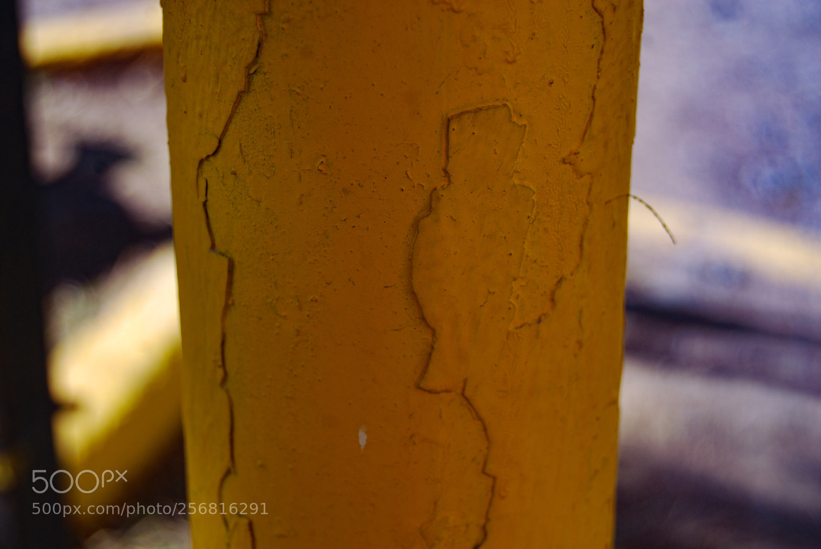 Nikon D40X sample photo. Broken photography