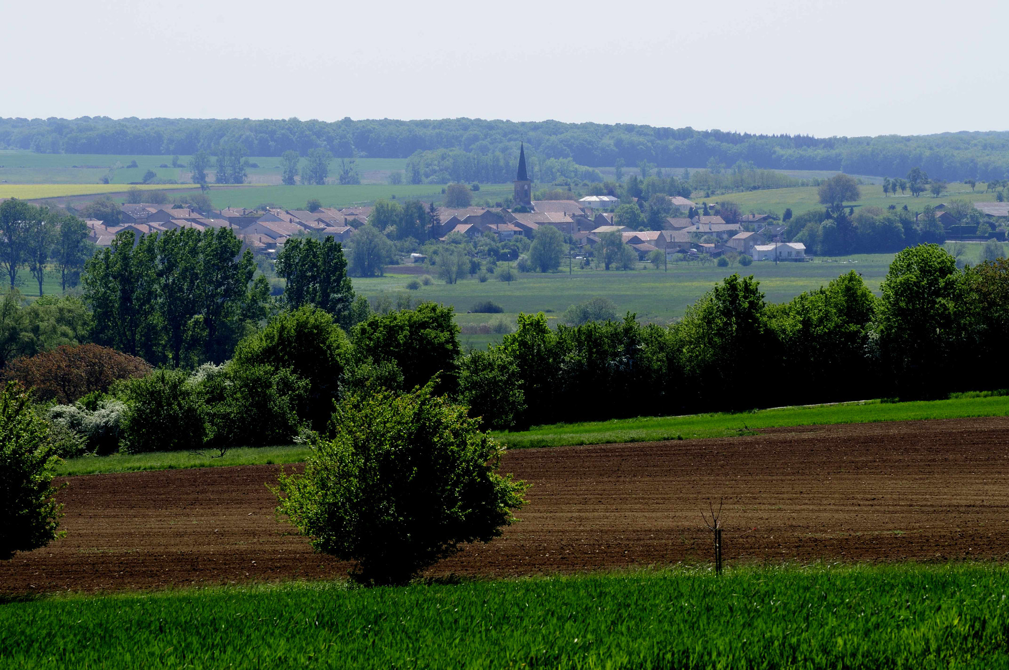 Nikon D90 sample photo. Printemps photography