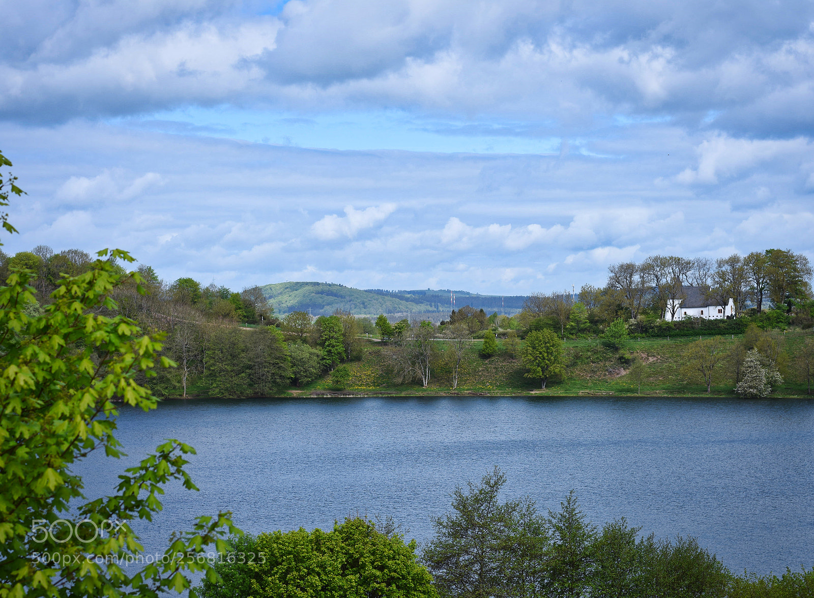 Nikon D7200 sample photo. Summer is coming photography