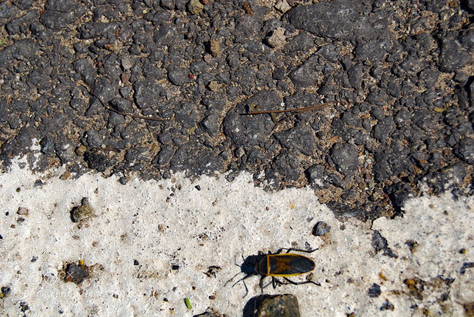 Nikon D40X sample photo. Of the line photography