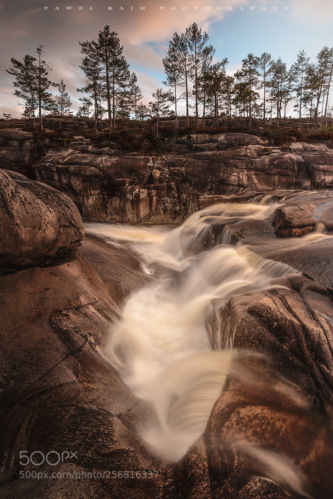 Nikon D5500 sample photo. Somewhere in telemark photography