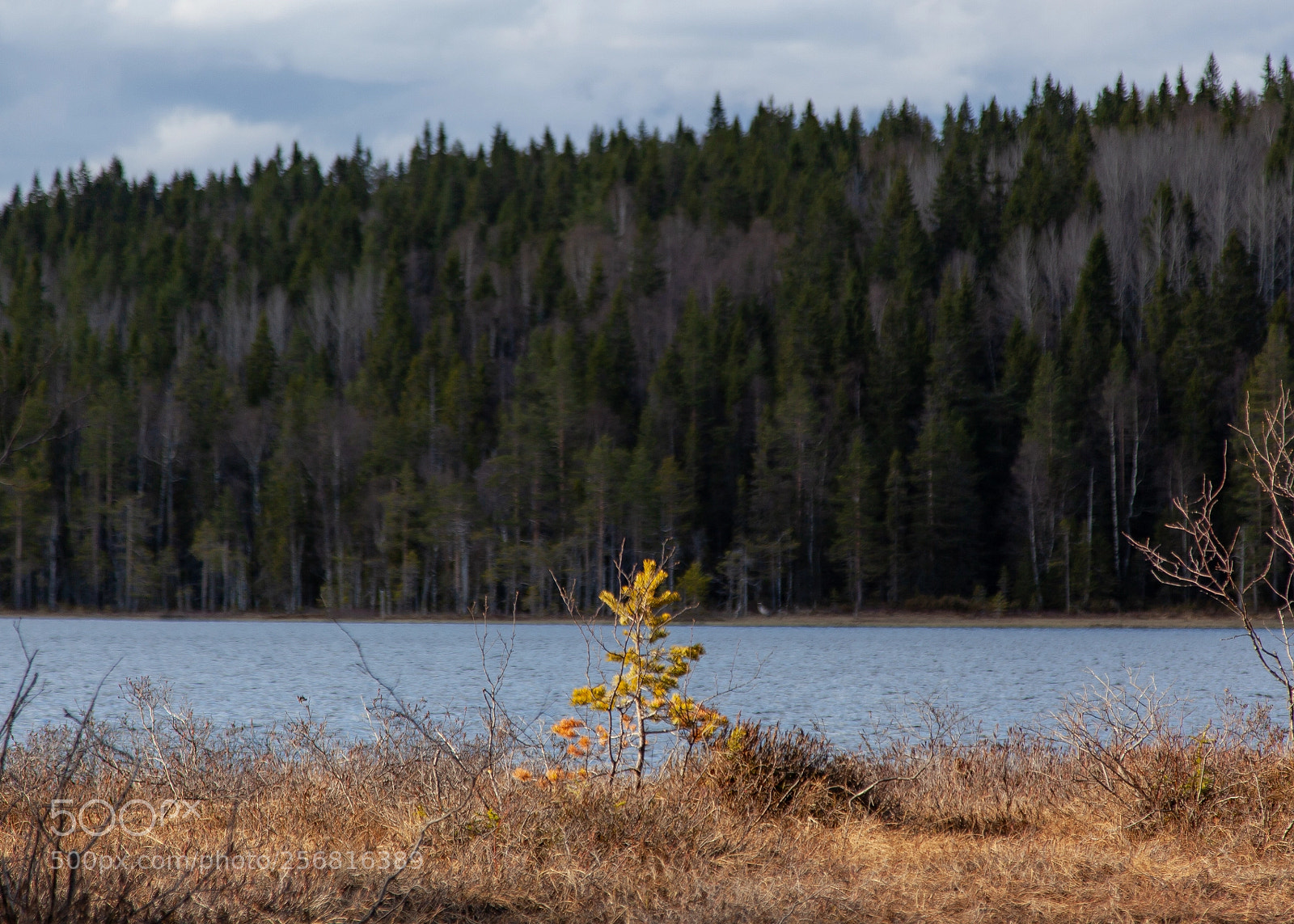 Canon EOS 5D Mark II sample photo. The lonely one photography