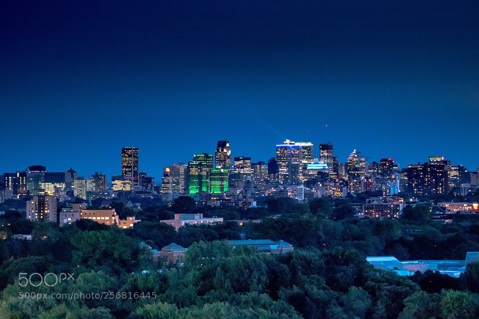 Canon EOS 70D sample photo. Montréal photography