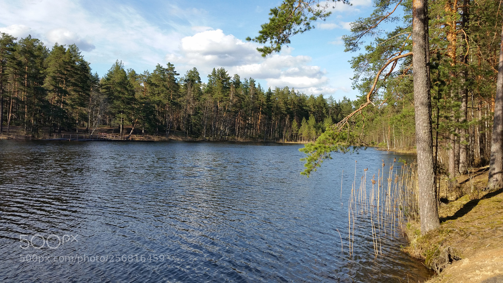 Samsung Galaxy S5 sample photo. Озеро. photography