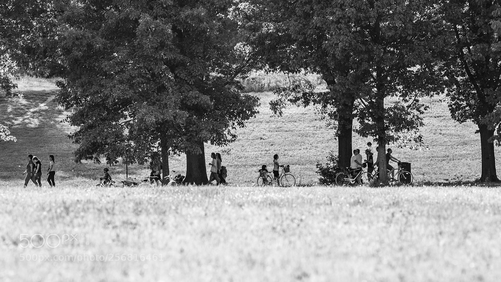 Canon EOS 6D sample photo. On sundays photography