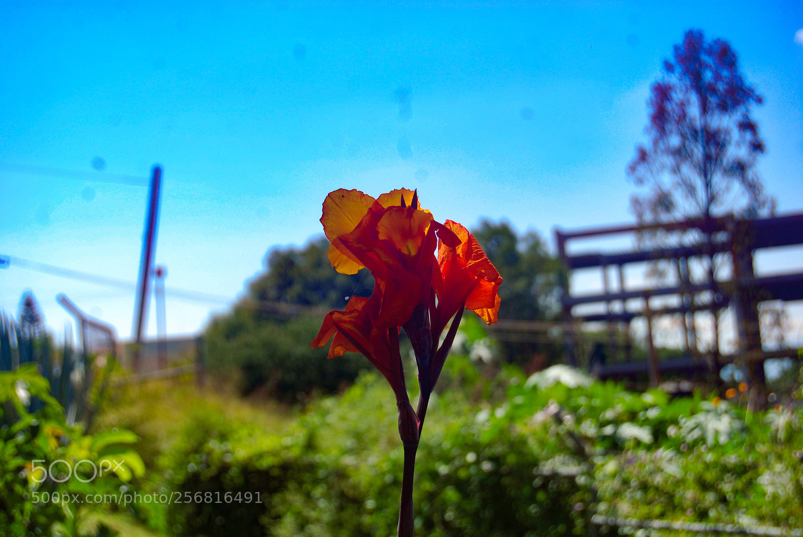 Nikon D40X sample photo. Block photography