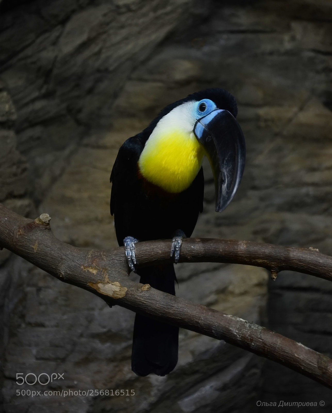 Nikon D7000 sample photo. *** photography