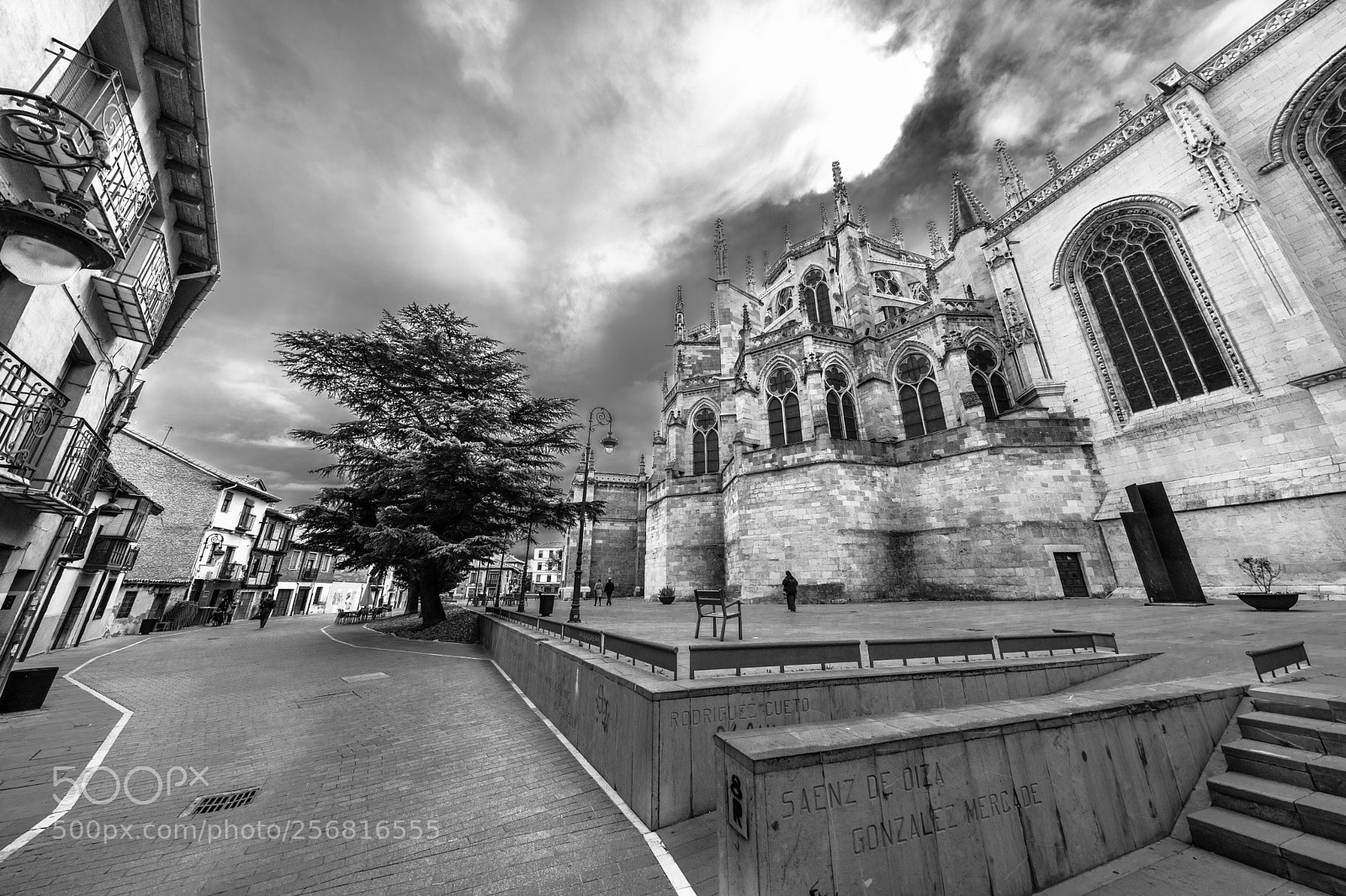 Canon EOS 5DS R sample photo. Vistas catedral león photography