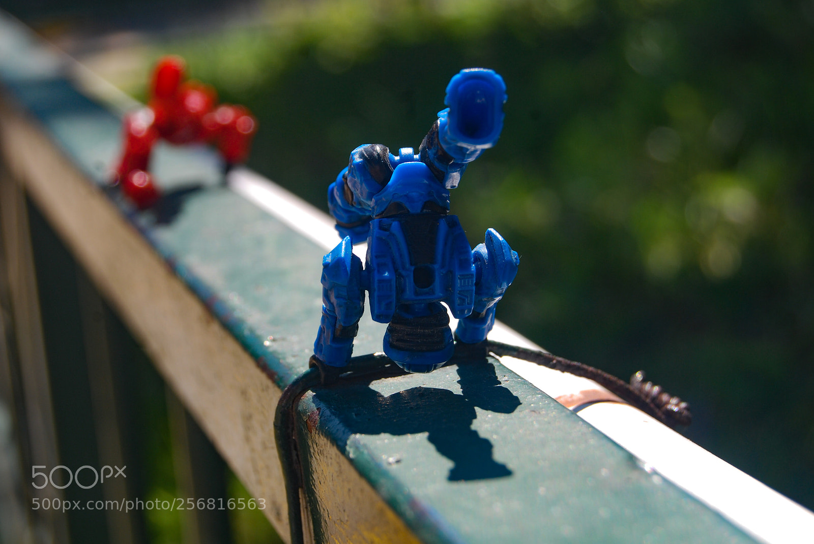 Nikon D40X sample photo. Blue photography
