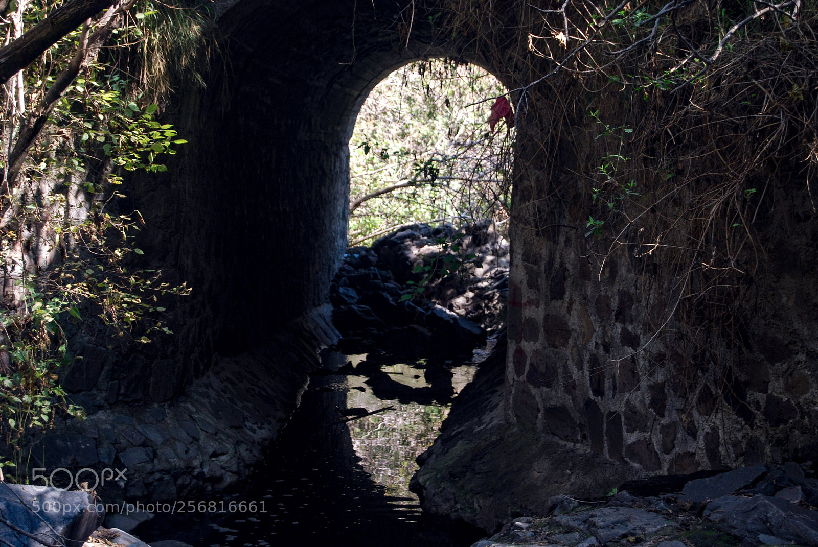 Nikon D40X sample photo. Tunel photography