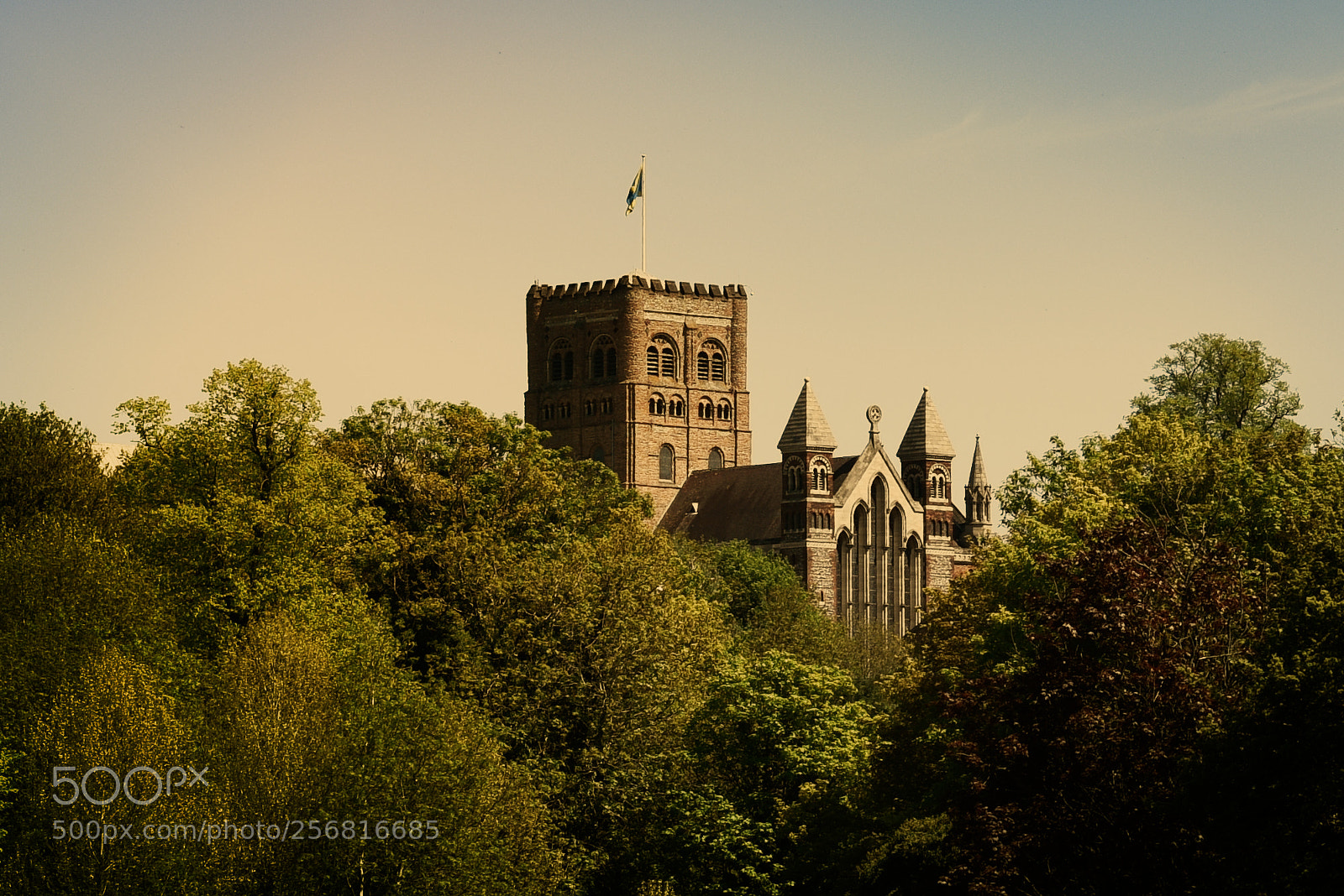 Nikon D810 sample photo. Landscape photography