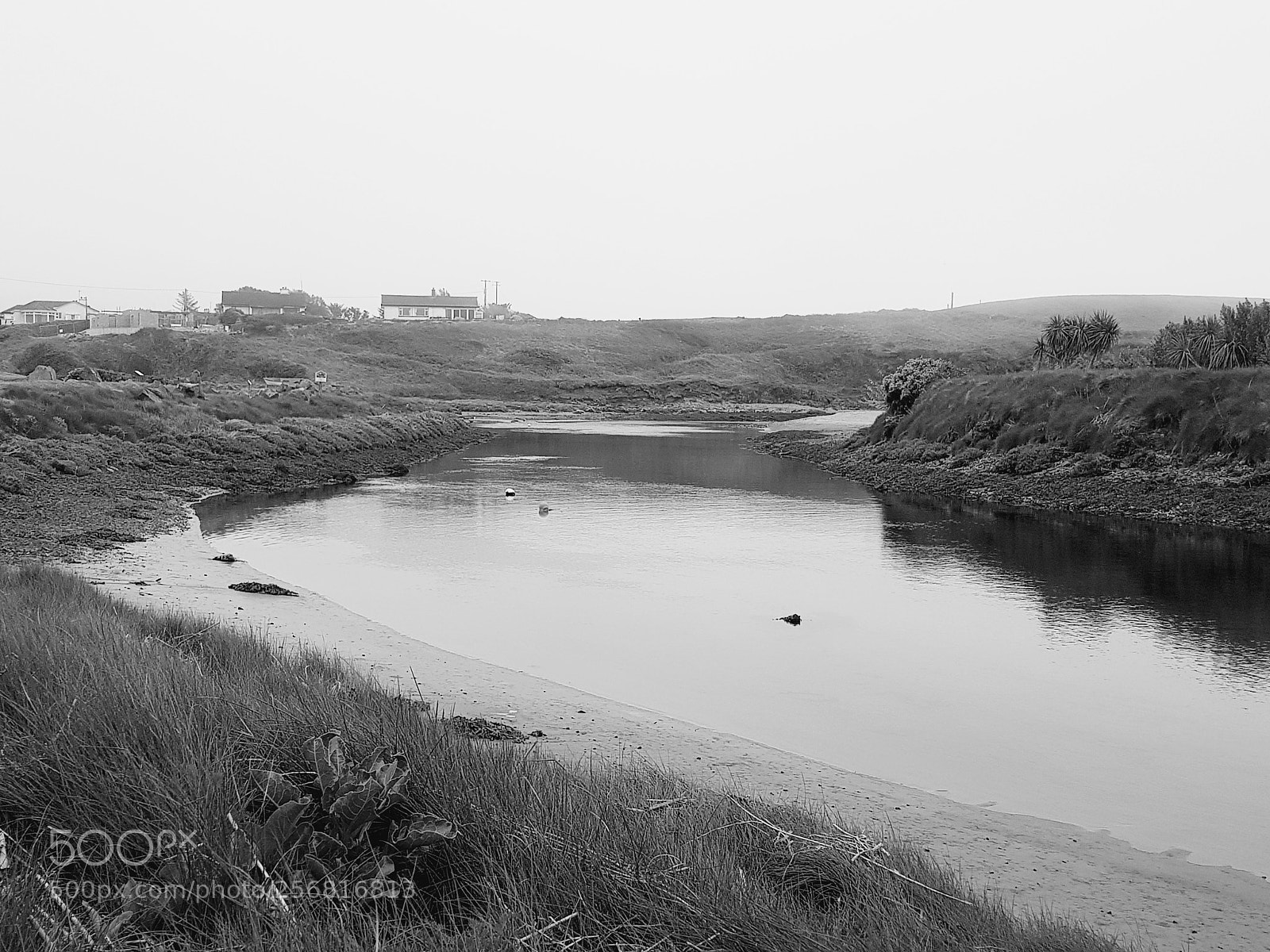 Samsung Galaxy S8 sample photo. Bunmahon photography