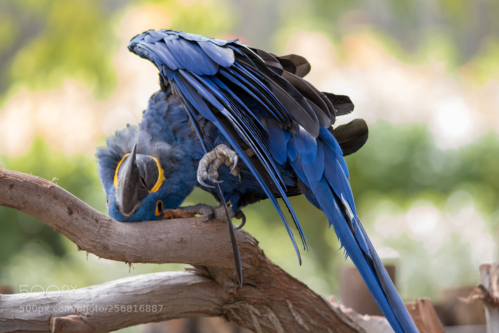 Nikon D810 sample photo. Upside down! photography
