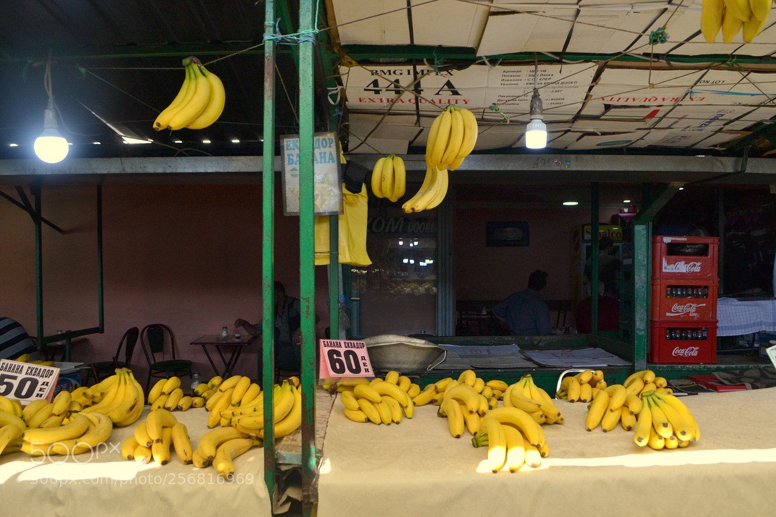 Nikon D3100 sample photo. Untitled photography