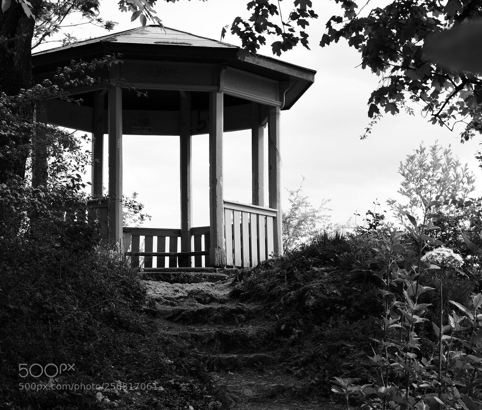 Nikon D7200 sample photo. Viewpoint photography