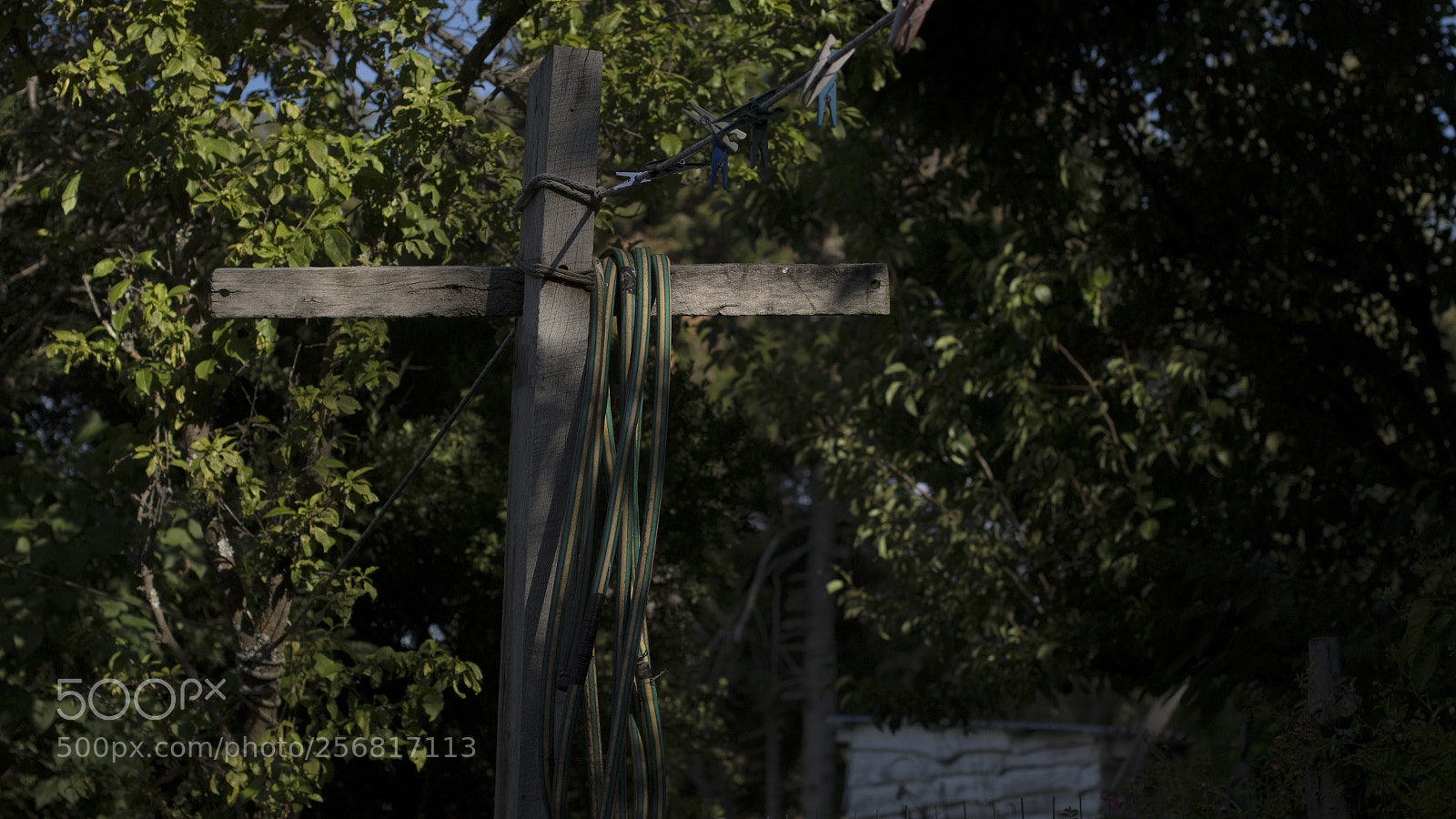 Canon EOS 70D sample photo. Verano photography