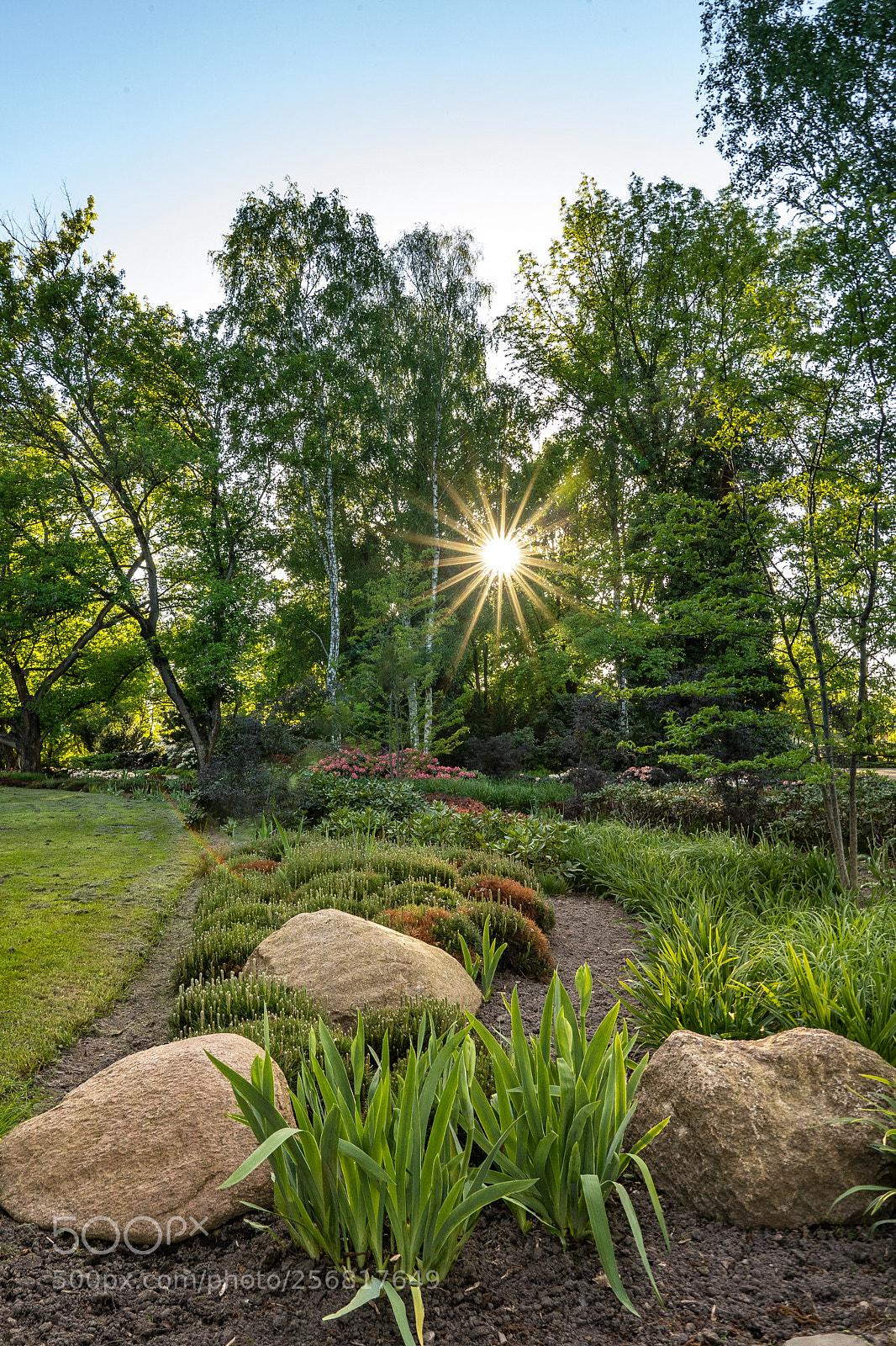 Sony a7 III sample photo. Sunny days photography