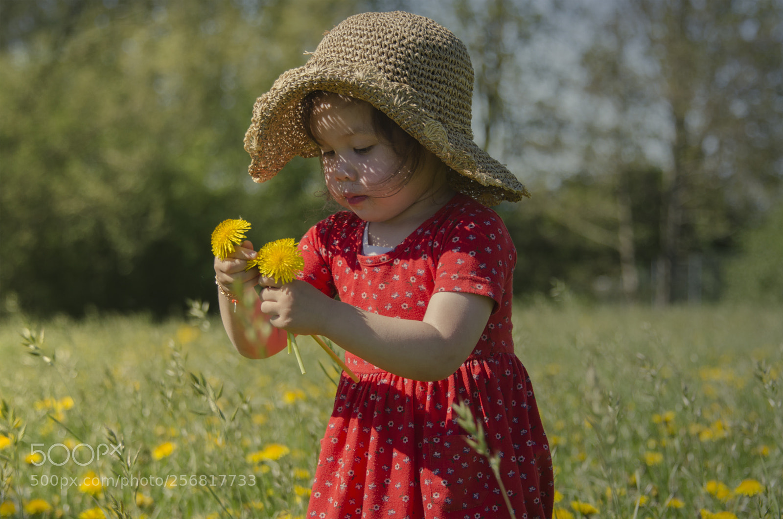Nikon D5100 sample photo. Discovering !! photography