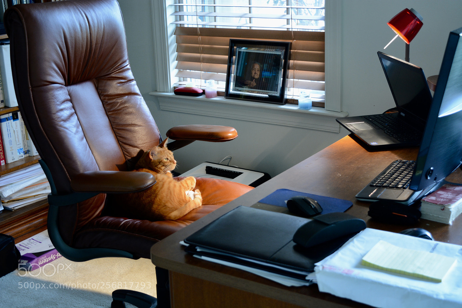 Nikon D7100 sample photo. Untitled photography