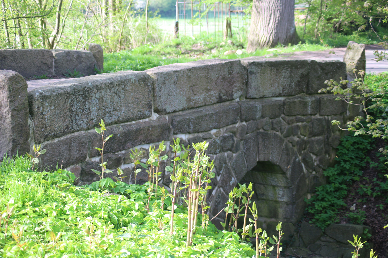 Canon EOS 100D (EOS Rebel SL1 / EOS Kiss X7) sample photo. The stone bridge photography
