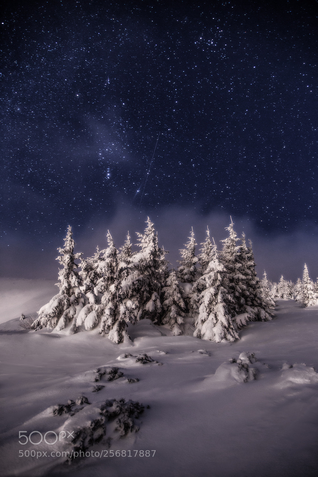 Canon EOS 6D sample photo. Winter..... photography