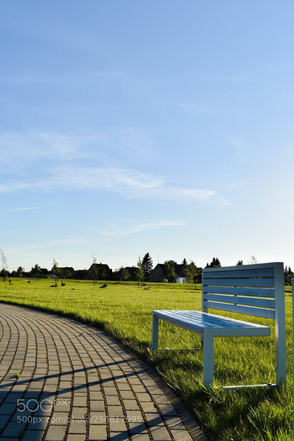 Nikon D5600 sample photo. Alone photography