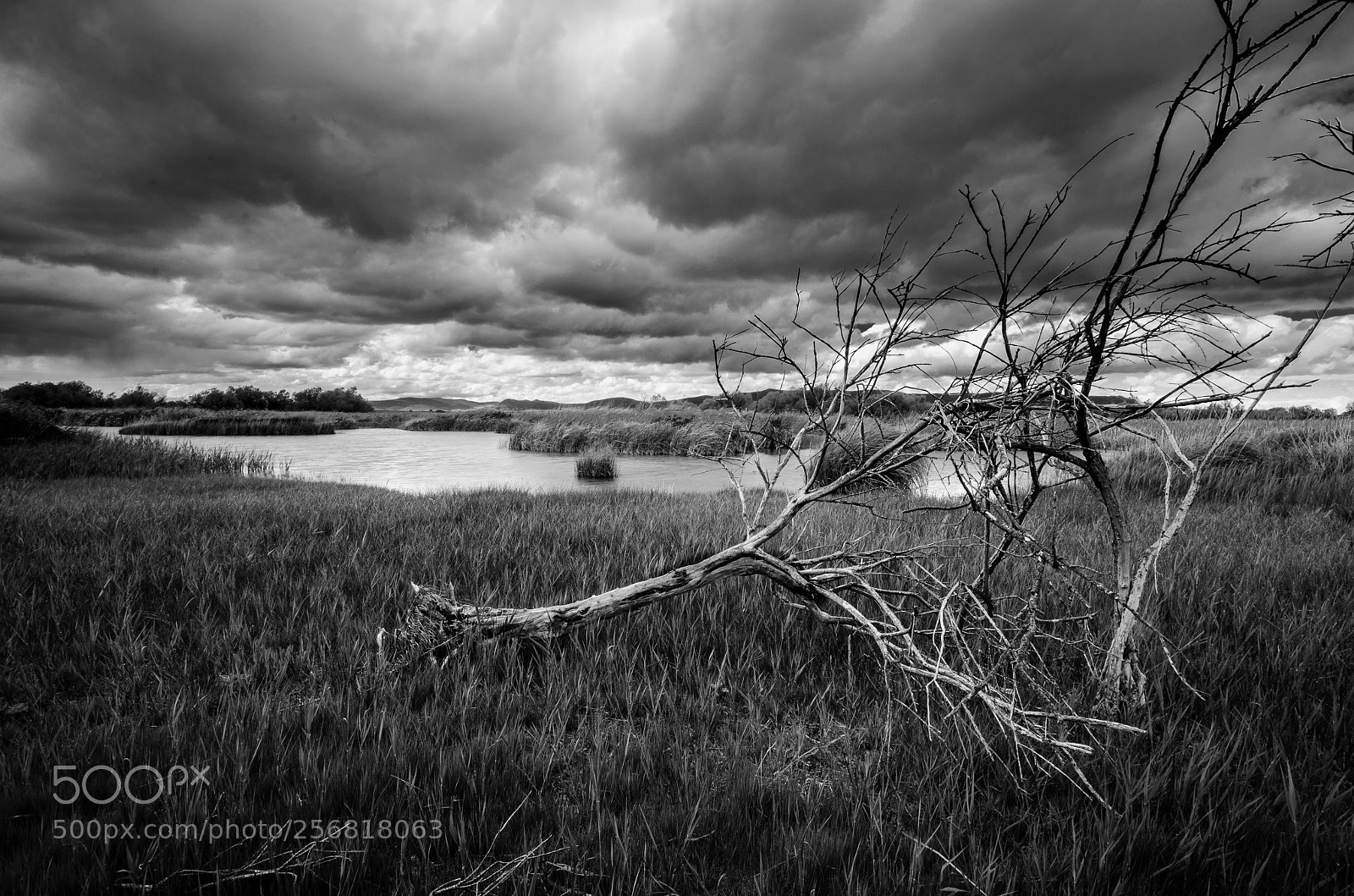 Nikon D5100 sample photo. Tablas de daimiel photography
