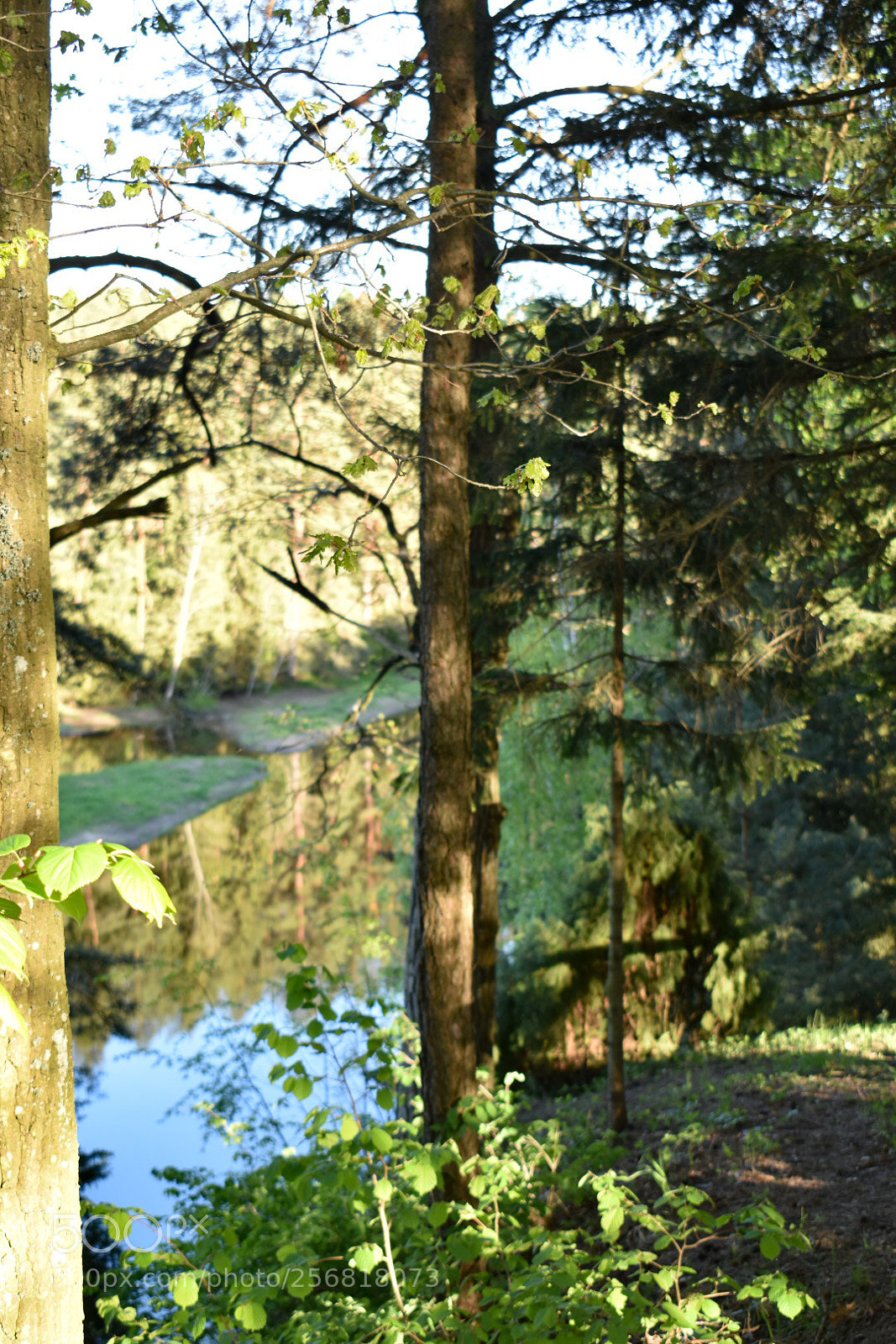 Nikon D5600 sample photo. Nature photography