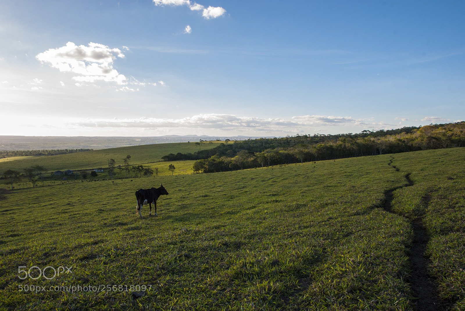 Nikon D3000 sample photo. Zona rural de v photography