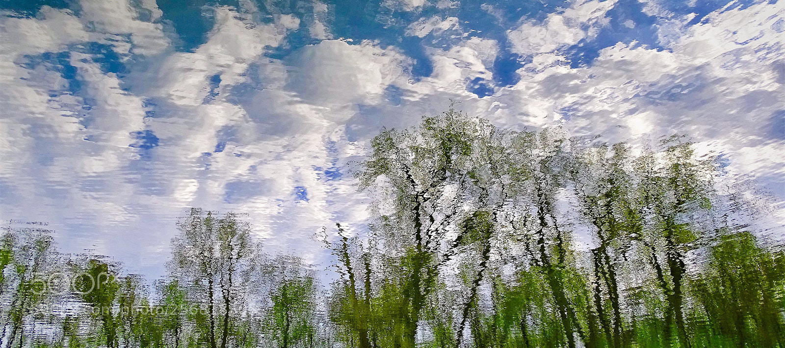 Sony Cyber-shot DSC-HX400V sample photo. Reflection photography