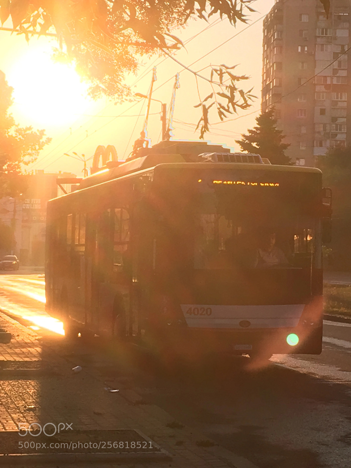 Apple iPhone 6s sample photo. Сказочные цвета  photography