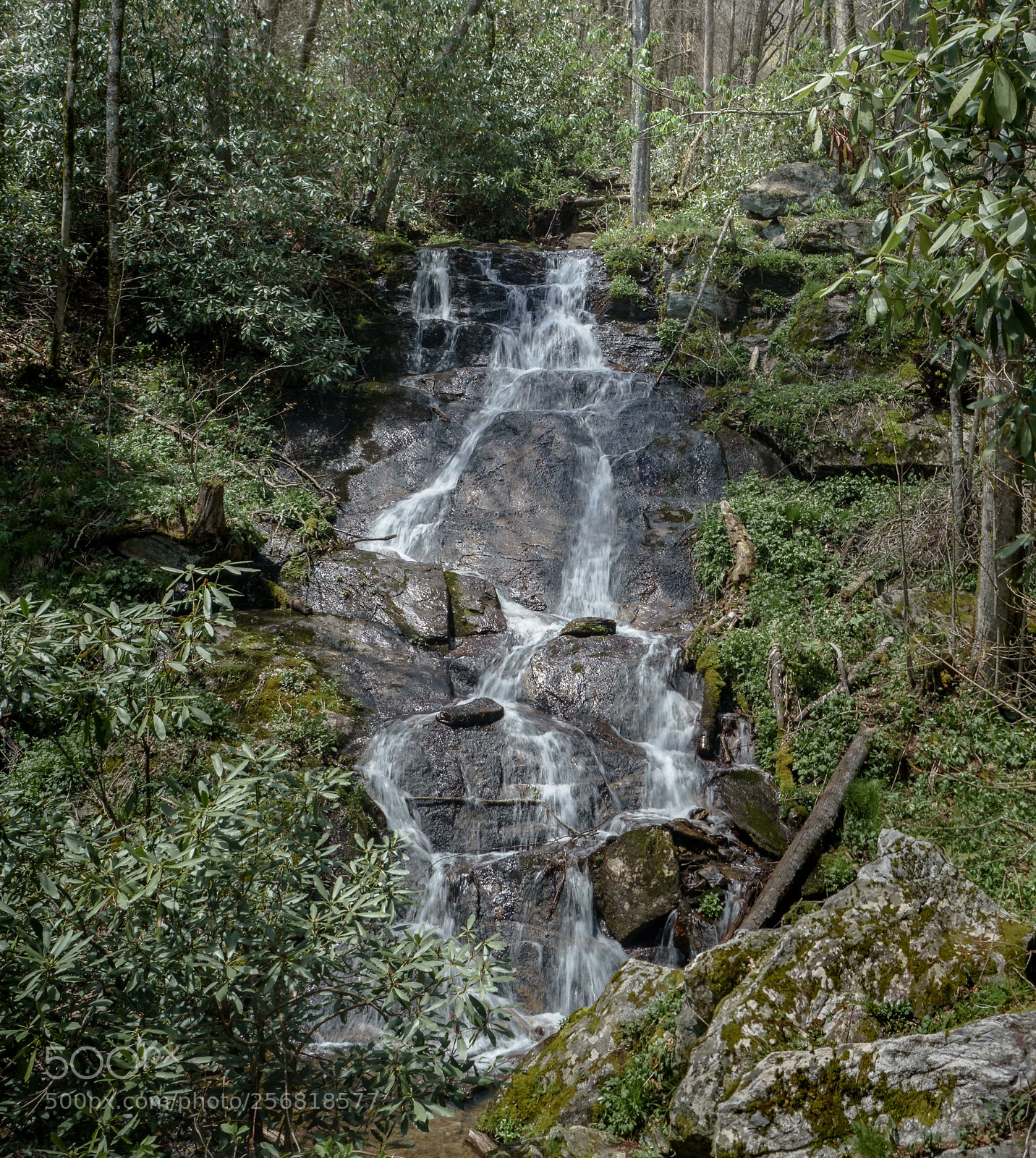 Sony a6000 sample photo. Waterfall; blue ridge parkway photography