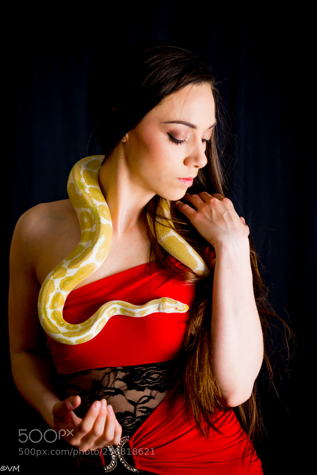 Nikon D600 sample photo. Tiffany and her snake photography