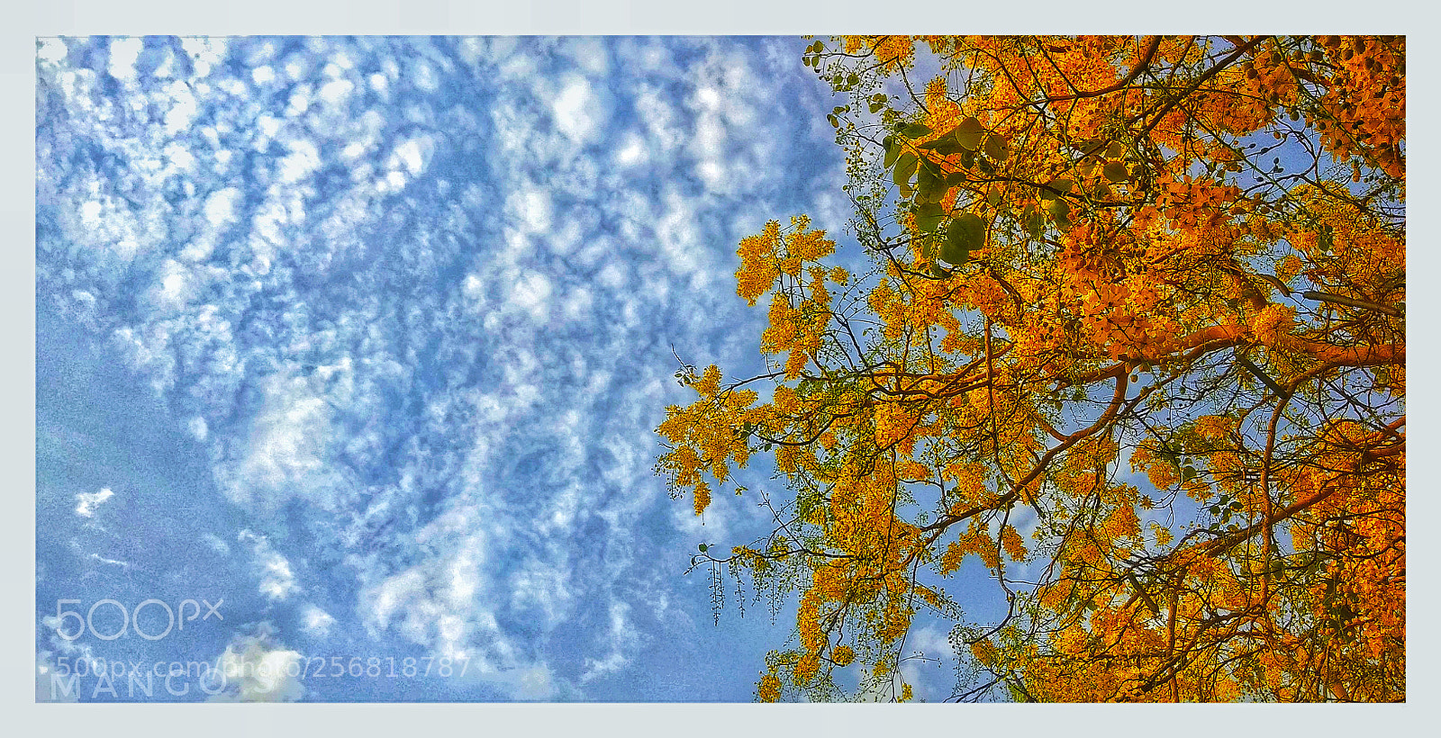 Xiaomi Redmi Note 4 sample photo. Colours of earth photography