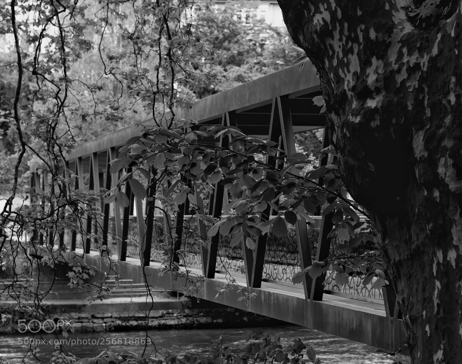 Nikon D7200 sample photo. Bridge over troubled water photography