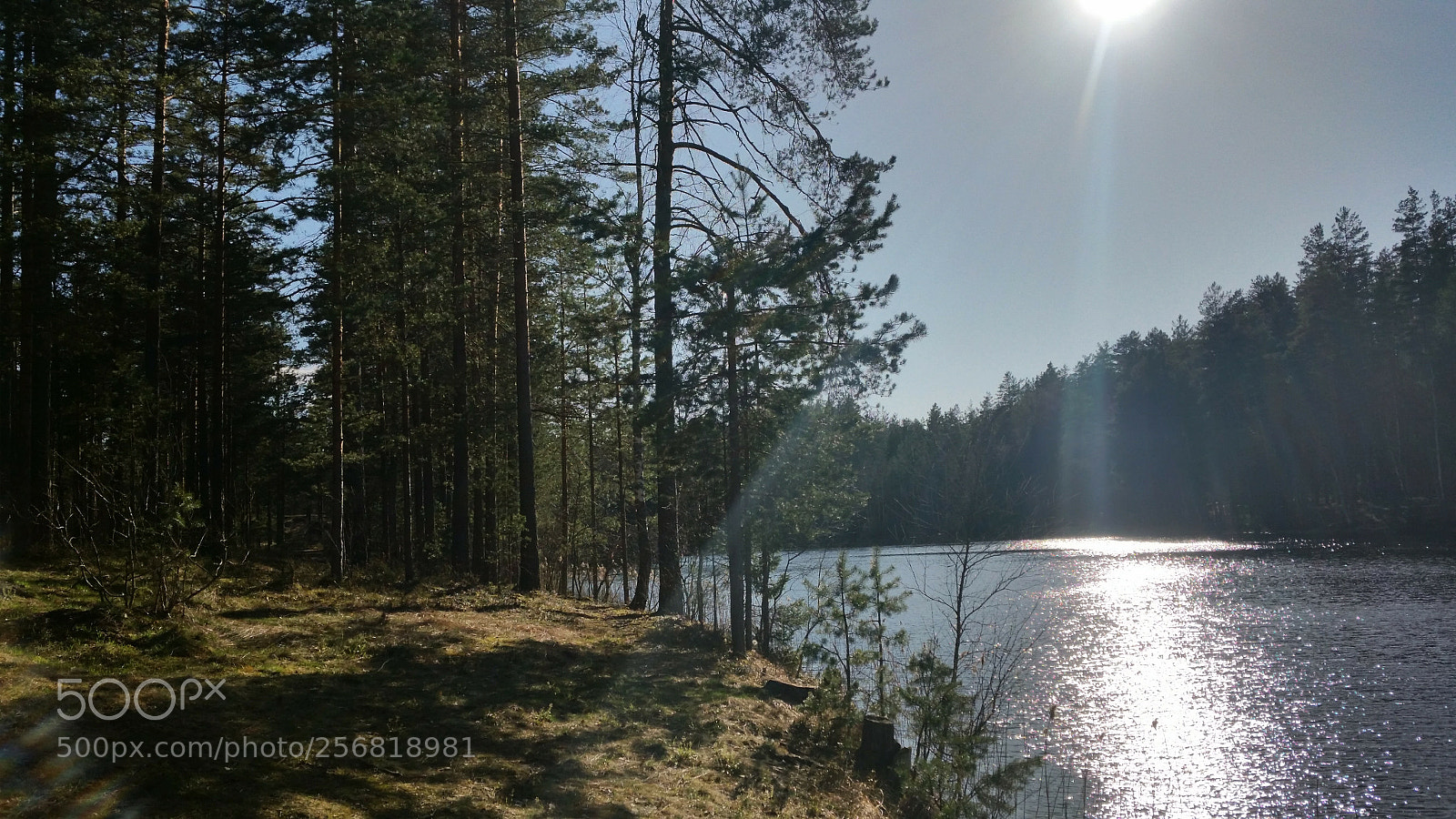 Samsung Galaxy S5 sample photo. Луч солнца, падающий в озеро. photography