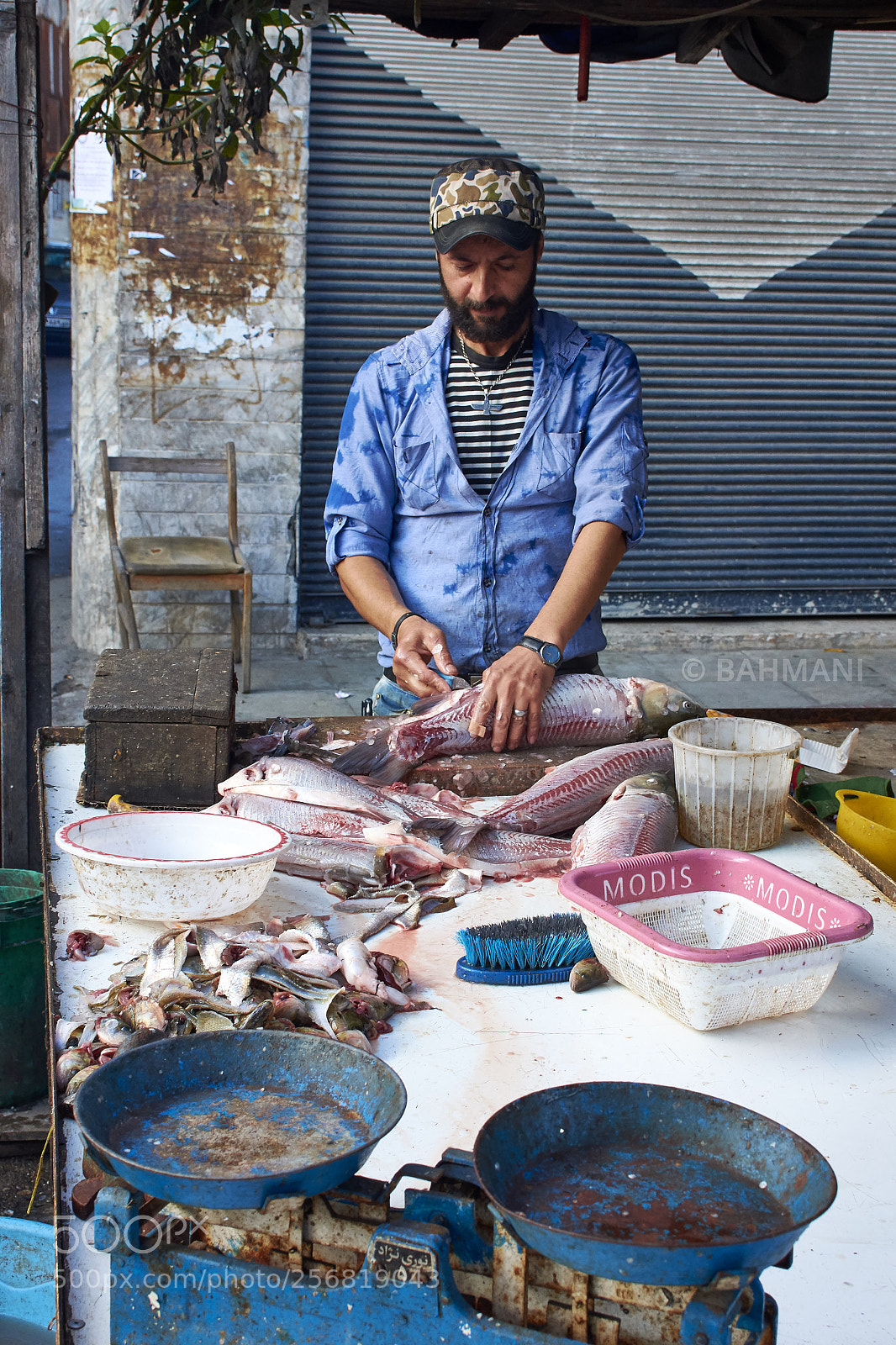 Nikon D7200 sample photo. Fishmonger photography
