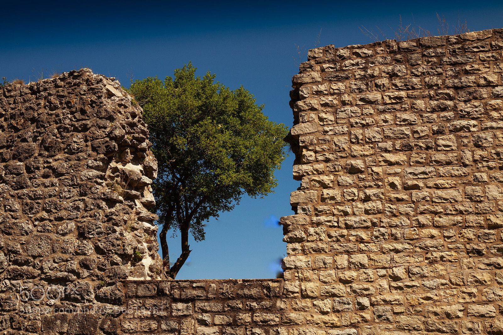 Canon EOS 50D sample photo. Burgruine wellheim_2 photography