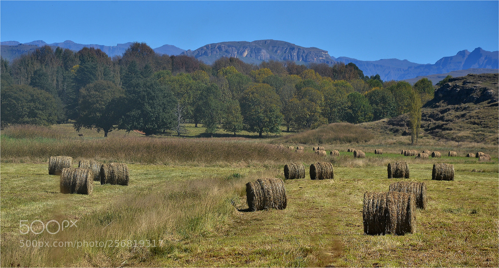 Nikon D7000 sample photo. Himeville hay photography
