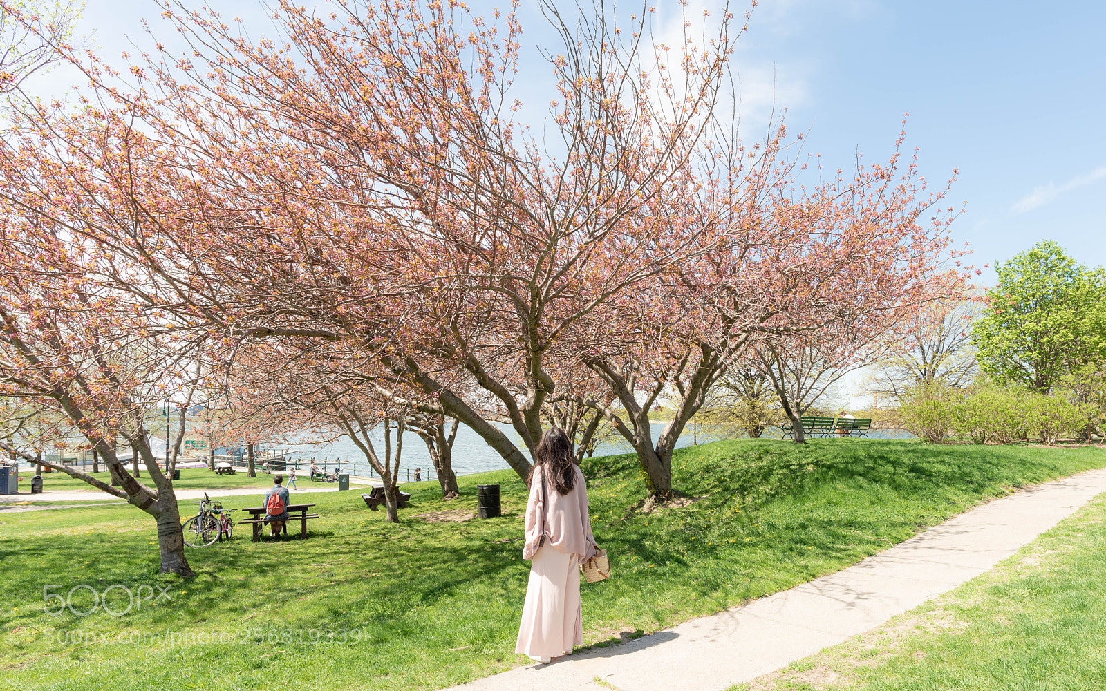 Nikon D800 sample photo. Bloom photography