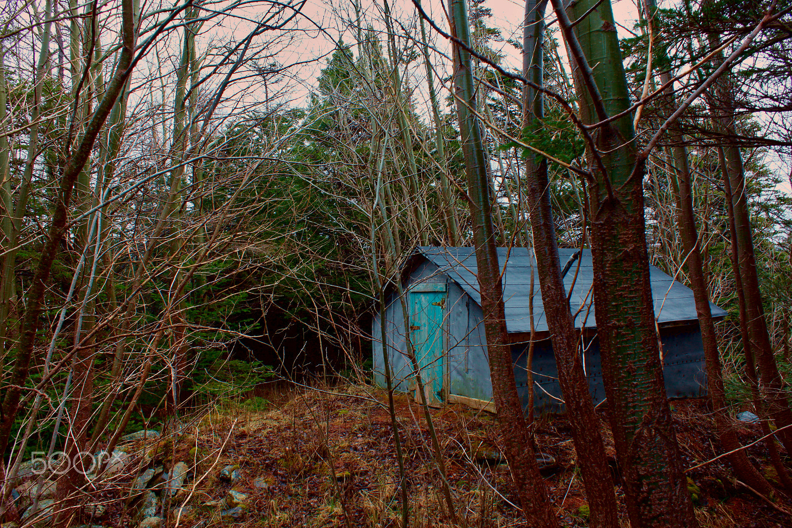 Canon EF-S 18-55mm F3.5-5.6 IS sample photo. Blue shack photography