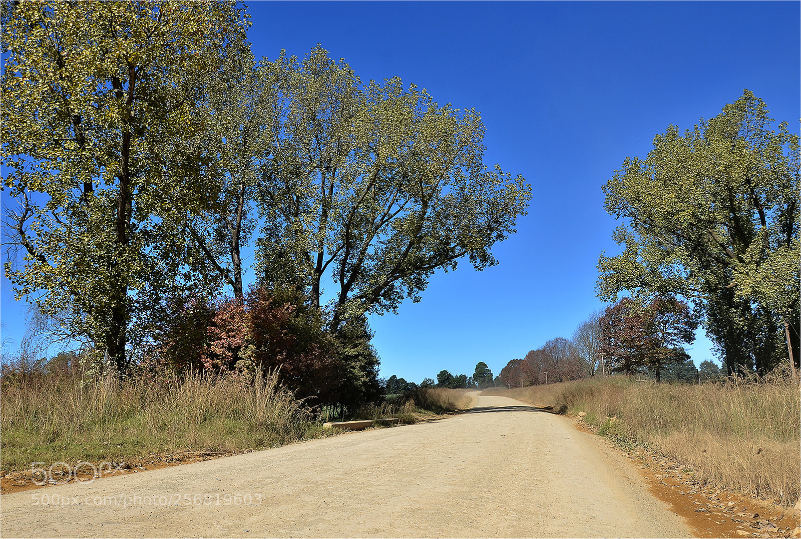 Nikon D7000 sample photo. Autumn road photography