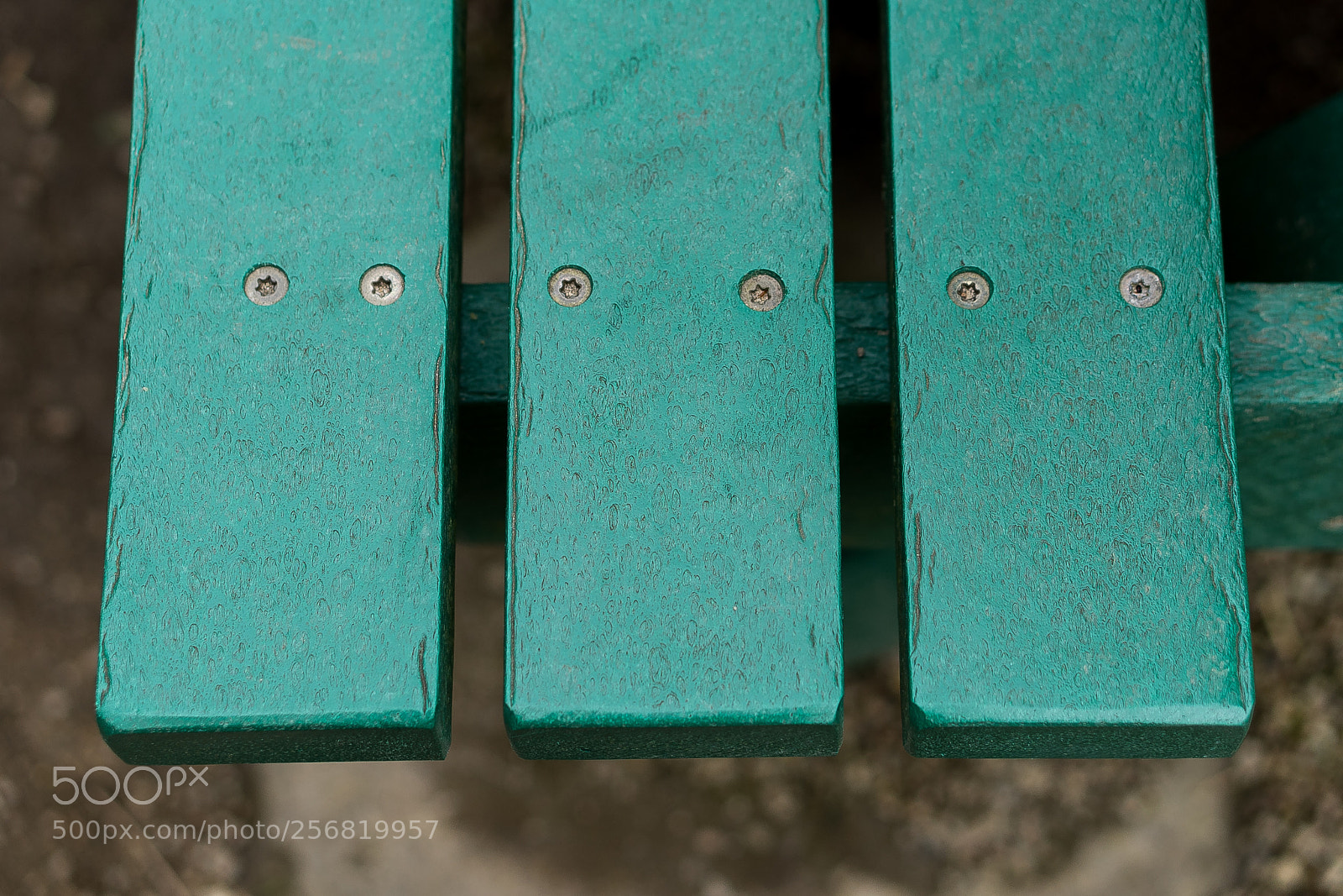Sony a7 sample photo. Macro photography
