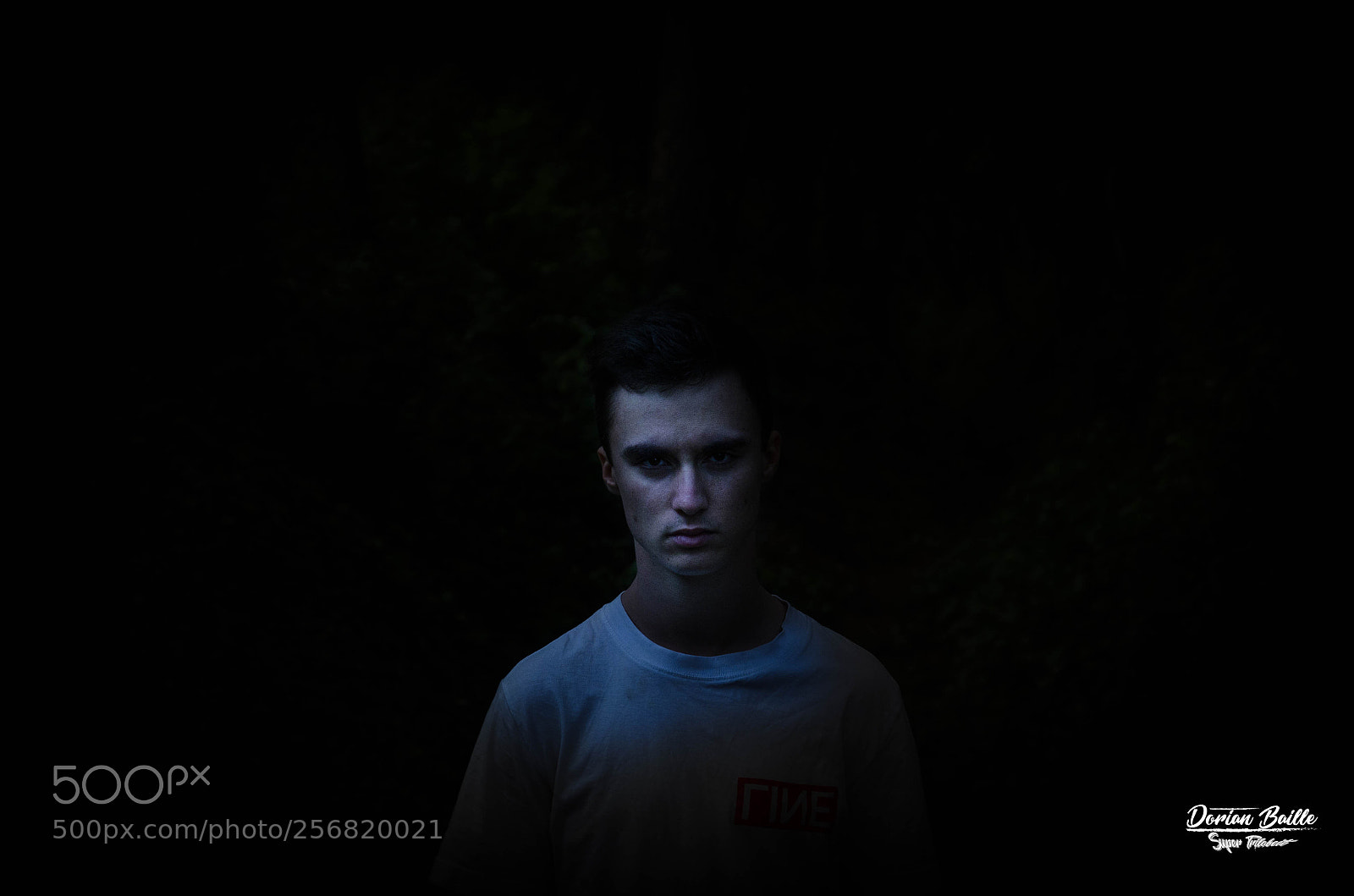 Nikon D5100 sample photo. Eyes on moonlight photography