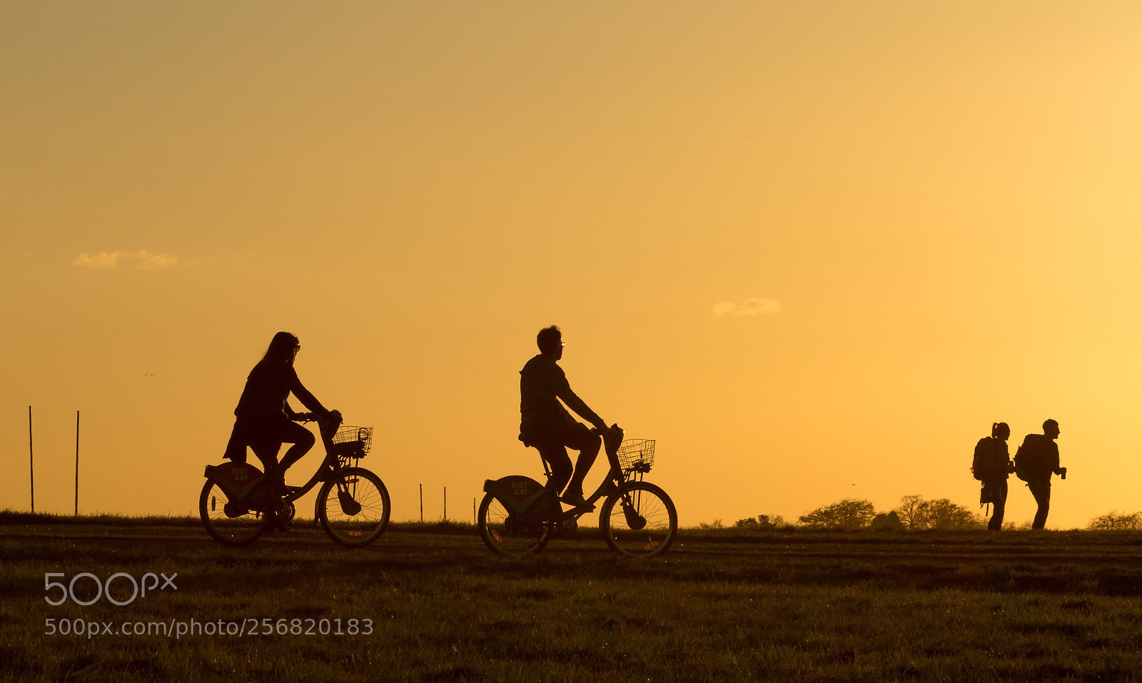 Canon EOS 7D Mark II sample photo. Untitled photography
