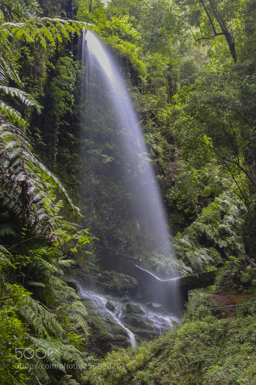 Canon EOS 700D (EOS Rebel T5i / EOS Kiss X7i) sample photo. La cascada photography